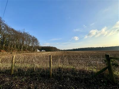 Picture 28